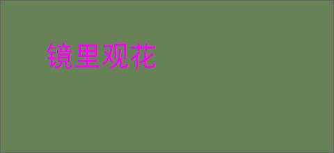 镜里观花