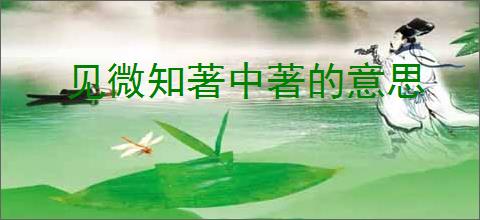 见微知著中著的意思