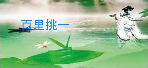 百里挑一