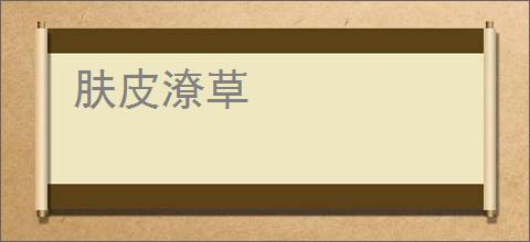 肤皮潦草