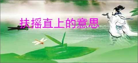 扶摇直上的意思