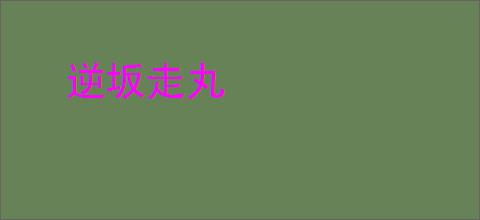 逆坂走丸