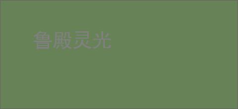 鲁殿灵光