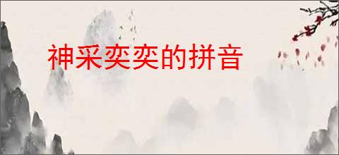 神采奕奕的拼音
