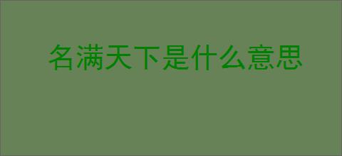 名满天下是什么意思