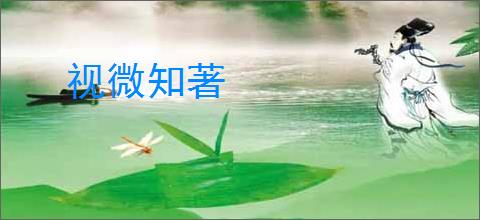 视微知著