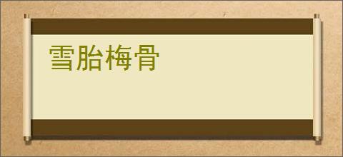 雪胎梅骨