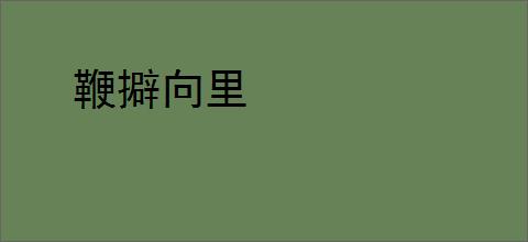 鞭擗向里