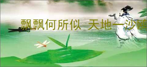 飘飘何所似 天地一沙鸥