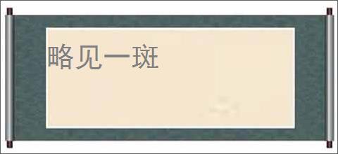略见一斑
