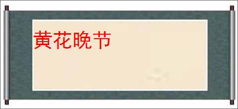 黄花晚节