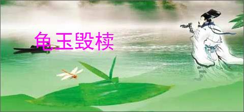 龟玉毁椟