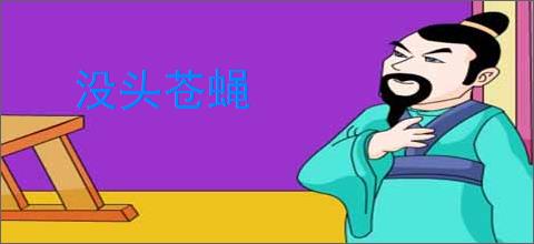 没头苍蝇