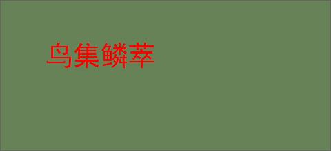 鸟集鳞萃