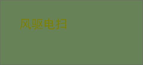 风驱电扫