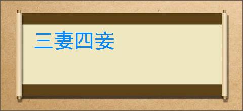 三妻四妾