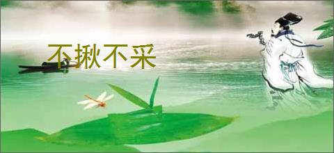 不揪不采