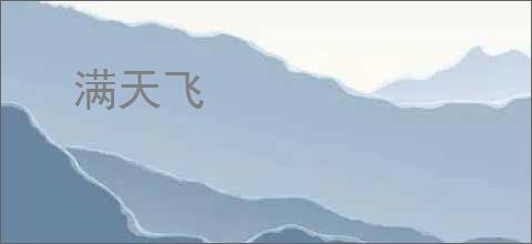 满天飞
