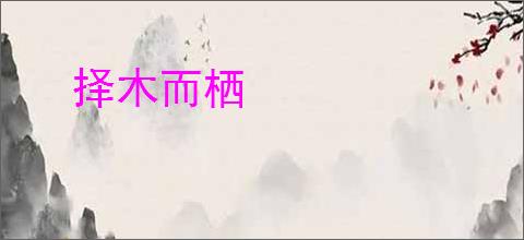 择木而栖