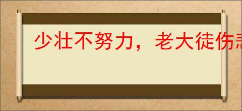 少壮不努力，老大徒伤悲