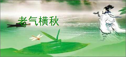 老气横秋