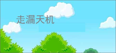 走漏天机