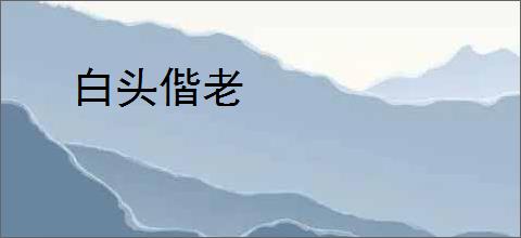 白头偕老